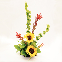 Sophisticated Sunflowers from Casey's Garden Shop & Florist, Bloomington Flower Shop